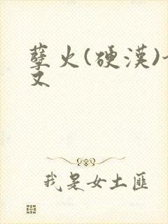 孽火(硬汉)今又