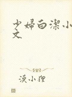 少妇白洁小说全文