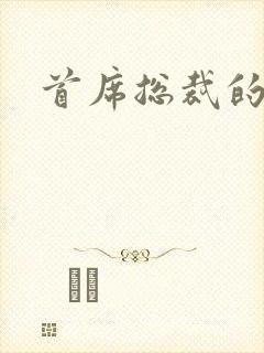 首席总裁的逃妻