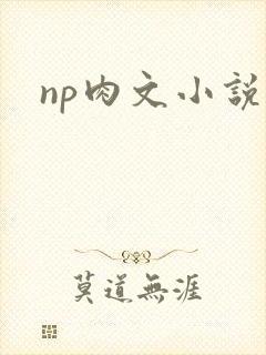 np肉文小说