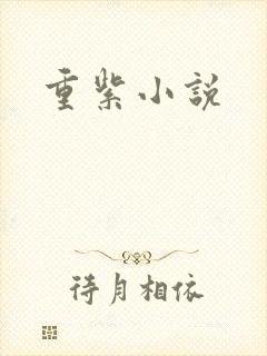 重紫小说
