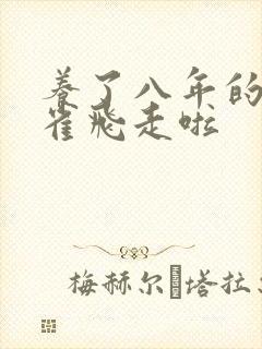 养了八年的金丝雀飞走啦