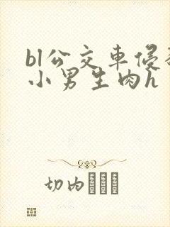 bl公交车侵犯小男生肉h