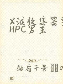 X液收集器系统HPC男主