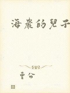 海岩的儿子