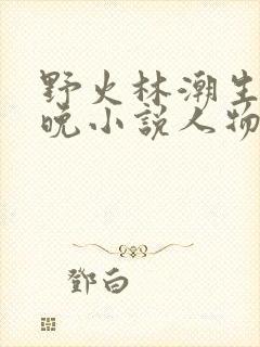 野火林潮生林晚晚小说人物野火