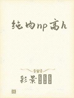 纯肉np高h