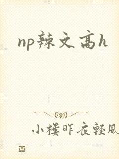 np辣文高h