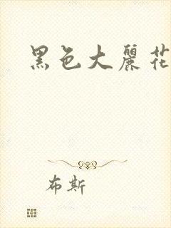 黑色大丽花图片