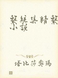 系统集精系统 小说