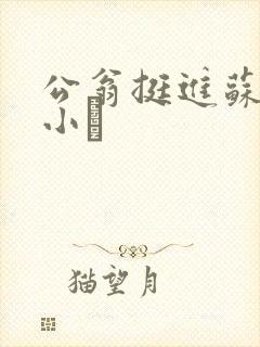 公翁挺进苏玥的小泬