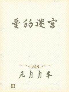 爱的迷宫