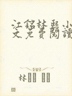 江铭林熙小说全文免费阅读