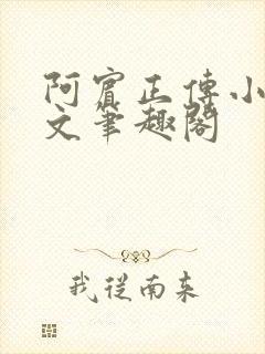 阿宾正传小说全文笔趣阁