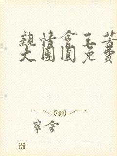 亲情会王芳高敏大团圆免费阅读