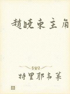 赵晓东主角小说