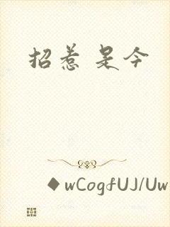 招惹 是今