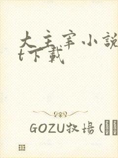 大主宰小说txt下载