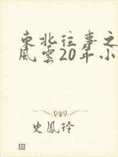 东北往事之黑道风云20年小说