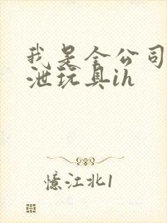 我是全公司的发泄玩具ih