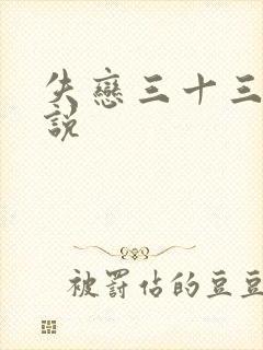 失恋三十三天小说
