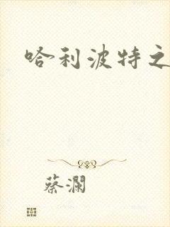 哈利波特之守护