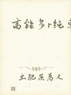 高能多r纯车