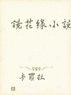 镜花缘小说