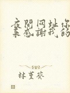 夜间网址你会回来感谢我的