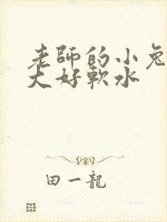 老师的小兔子好大好软水