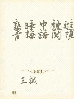 《熟睡中被进了H青梅诱哄视频》小说封面