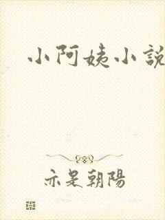 小阿姨小说
