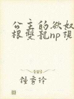 公主的欲奴h四根双龙np视频