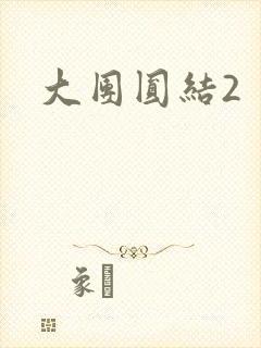 大团圆结2