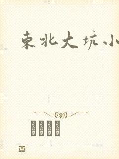 东北大坑小说