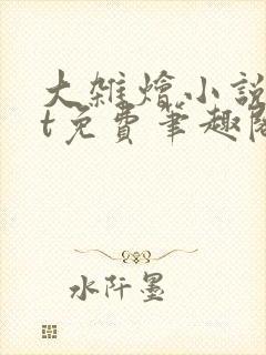 大杂烩小说txt免费笔趣阁封面