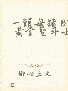 一头母猪 BY 黄金圣斗士