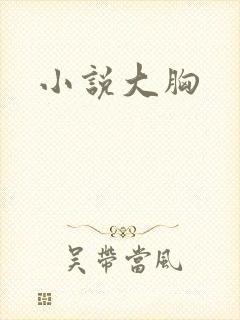 小说大胸