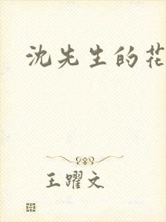 沈先生的花式调