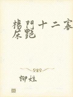 杨门十二寡妇肉床艳