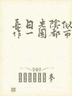 长日光阴似箭乱作一团都市言情封面