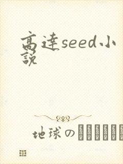 高达seed小说