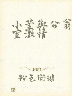 小莹与公翁办公室激情