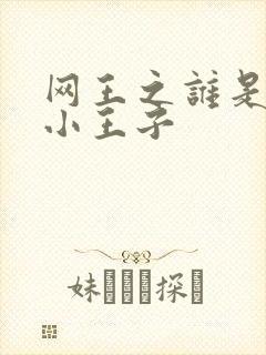 网王之谁是我的小王子