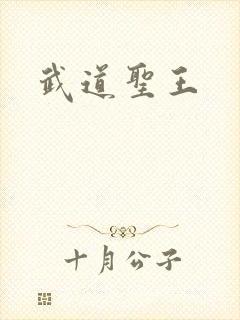 武道圣王