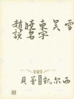 赵晓东吴雪晴小说名字