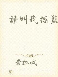 请叫我总监小说