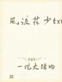 风流花少txt