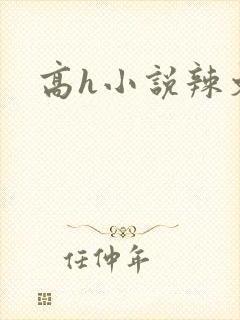 高h小说辣文