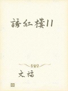 诱红楼11